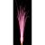 Le Maitre PP1040 Prostage II VS Mine with Tail (Box of 10) 25 Feet, Pink - view 5