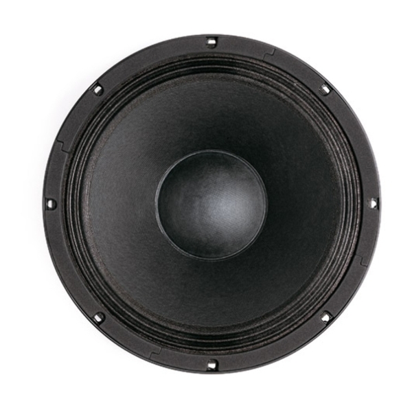 B&C 12HPL64 12-Inch Speaker Driver - 200W RMS, 4 Ohm, Spring Terminals