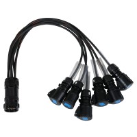 elumen8 Socapex 19-Pin Male - 16A Female 1.5mm Fan-Out Cable
