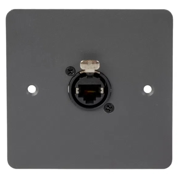 elumen8 Cygnus WP2 Ethernet Wall Plate