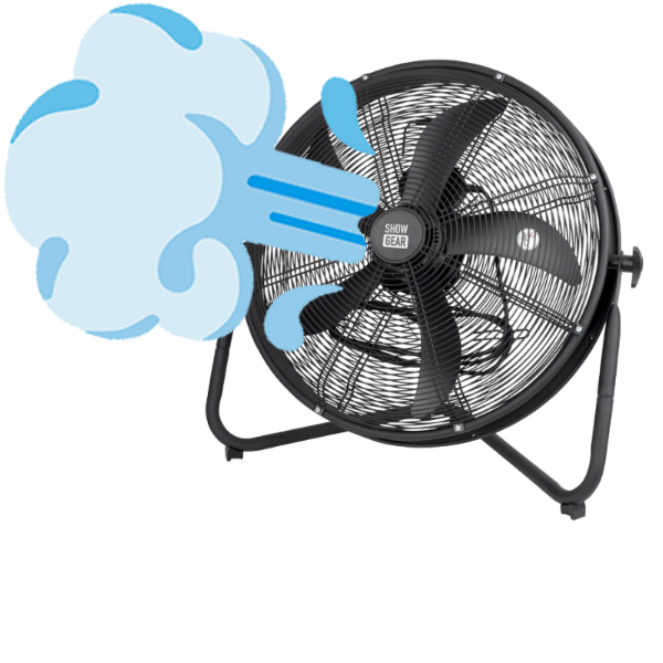 Fans