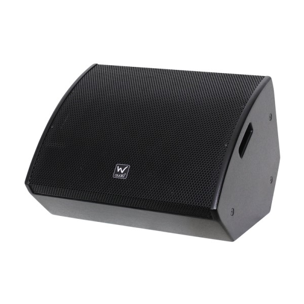 W Audio SM 12 12-Inch 2-Way Passive Stage Monitor, 250W @ 8 Ohms