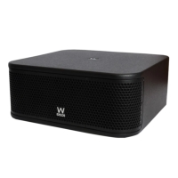 W Audio CBS110S 10-Inch Passive Subwoofer, 200W @ 8 Ohms - Black