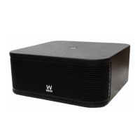 W Audio CBS110SA 10-Inch Active Subwoofer, 350W - Black