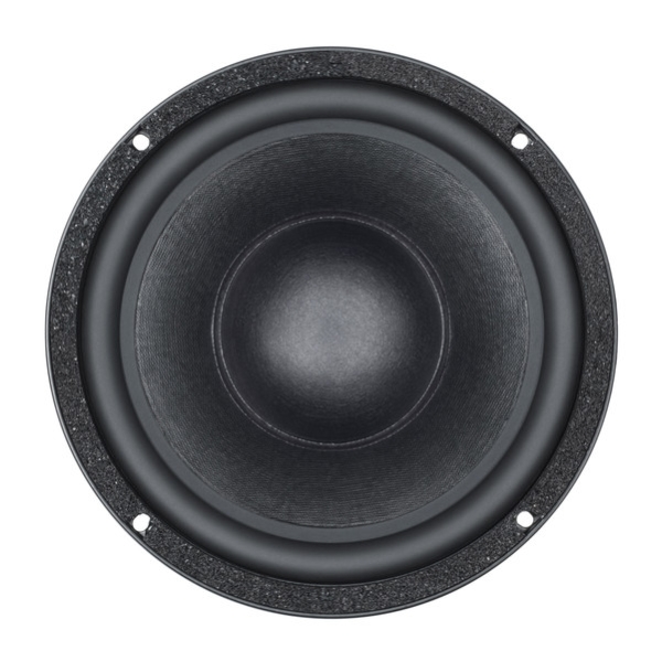 B&C 10BG76 10-Inch Speaker Driver - 500W RMS, 8 Ohms