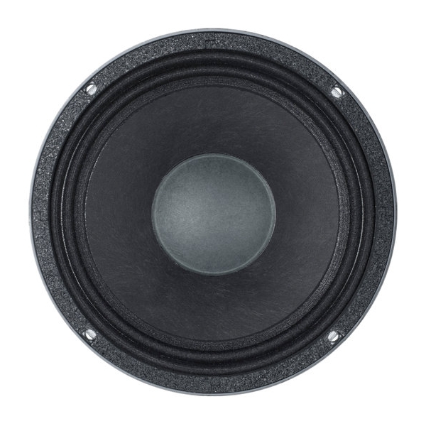 B&C 10HPL64 10-Inch Speaker Driver - 200W RMS, 8 Ohm with Spring Terminals