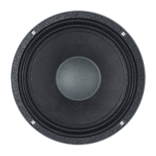 B&C 10NDL64 10-Inch Speaker Driver - 250W RMS, 16 Ohm