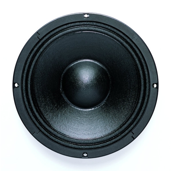 B&C 10NW64 10-Inch Speaker Driver - 300W RMS, 16 Ohm