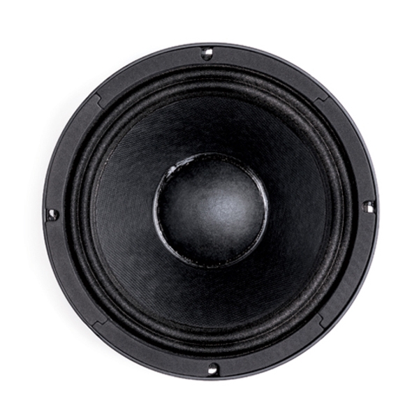 B&C 10PS26 10-Inch Speaker Driver - 350W RMS, 8 Ohm