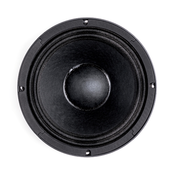B&C 10PS26 10-Inch Speaker Driver - 350W RMS, 8 Ohm, Spade Terminals