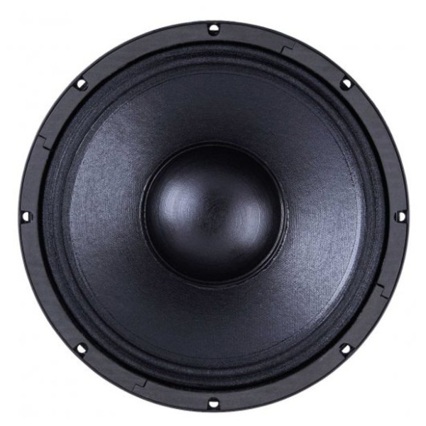 B&C 12FW64 12-Inch Speaker Driver - 250W RMS, 8 Ohm