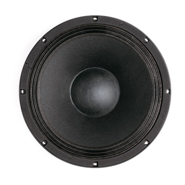 B&C 12HPL64 12-Inch Speaker Driver - 200W RMS, 4 Ohm, Spade Terminals