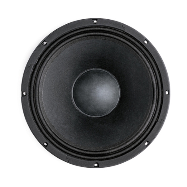 B&C 12HPL76 12-Inch Speaker Driver - 350W RMS, 8 Ohm