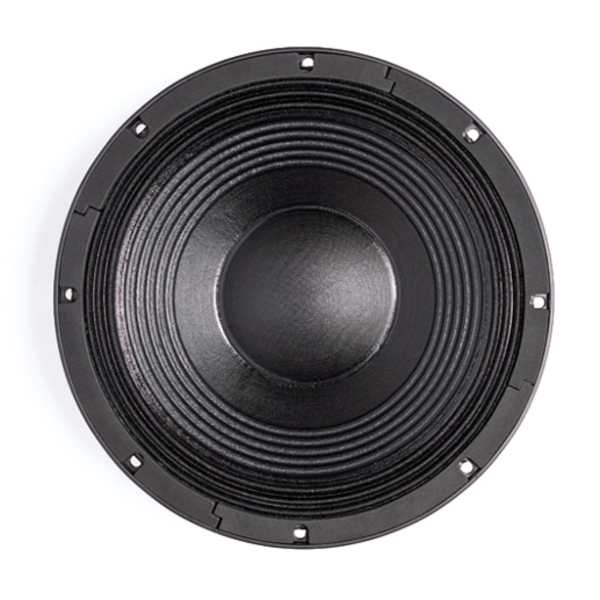 B&C 12NW100 12-Inch Speaker Driver - 1000W RMS, 4 Ohm, Spade Terminals