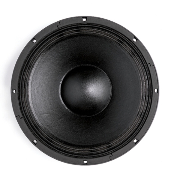 B&C 12NW76 12-Inch Speaker Driver - 500W RMS, 4 Ohm, Spade Terminals