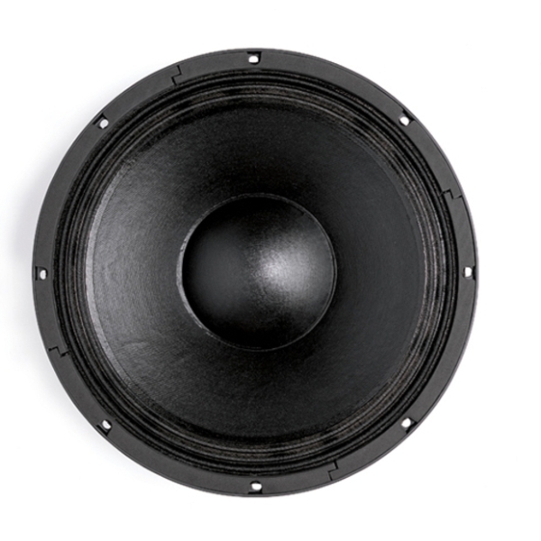 B&C 12NW76 12-Inch Speaker Driver - 500W RMS, 8 Ohm, Spade Terminals