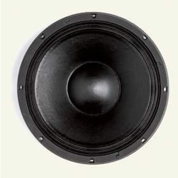 B&C 12PS76 12-Inch Speaker Driver - 450W RMS, 8 Ohm, Spring Terminals