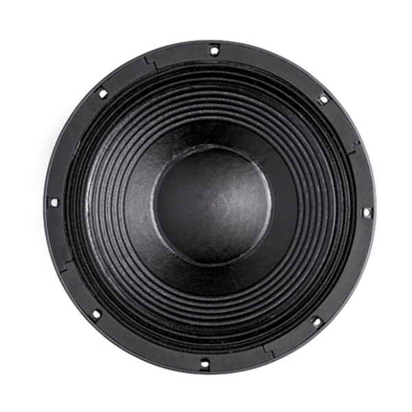 B&C 12TBX100 12-Inch Speaker Driver - 1000W RMS, 4 Ohm