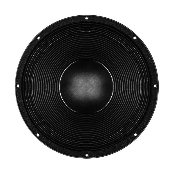 B&C 15DS115 15-Inch Speaker Driver - 1600W RMS, 4 Ohm