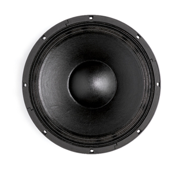 B&C 15NW76 15-Inch Speaker Driver - 600W RMS, 4 Ohm