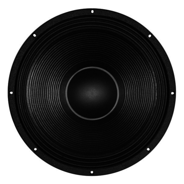 B&C 18DS100 18-Inch Speaker Driver - 1500W RMS, 4 Ohm