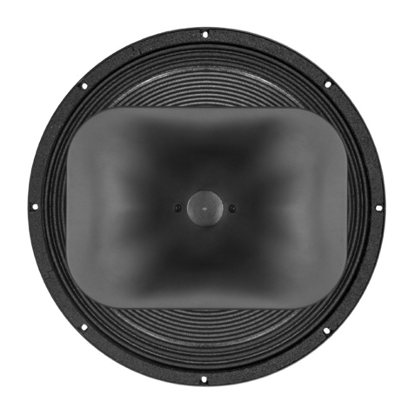 B&C 18HTX100 18-Inch Tri-axial Full Range Speaker with DCX464 Coaxial MF/HF Compression Driver - 1000W, 8 Ohm