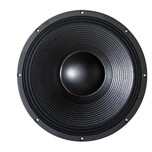 B&C 21DS115 21-Inch Speaker Driver - 1700W RMS, 8 Ohm, Spring Terminals