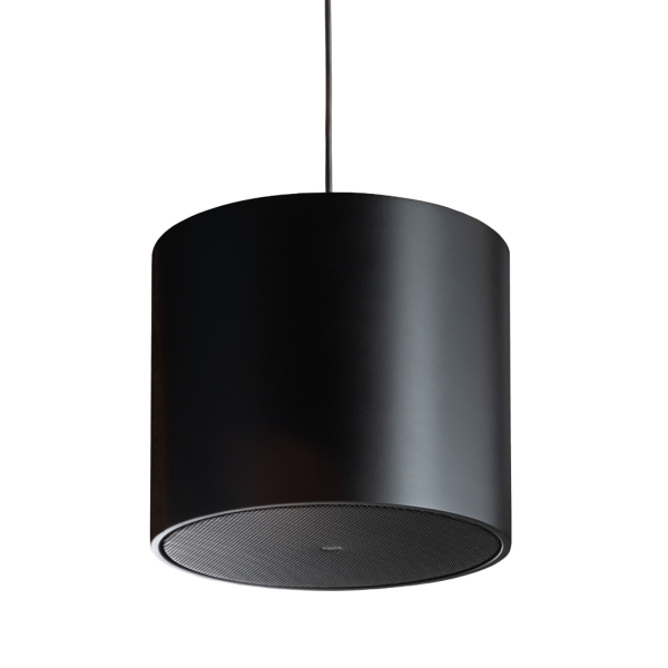 FBT Libra 8S 8-Inch Passive Pendant Subwoofer, 150W @ 8 Ohms - Black