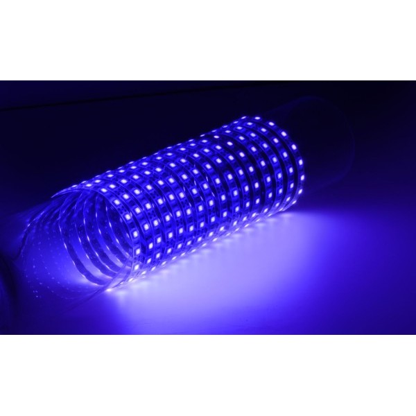 Fluxia LT12560-UV Ultra Violet 12V LED Tape, IP65, 5 metre with 60 LEDs per metre