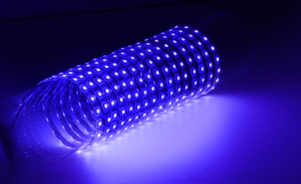Fluxia LT12560-UV Ultra Violet 12V LED Tape, IP65, 5 metre with 60 LEDs per metre