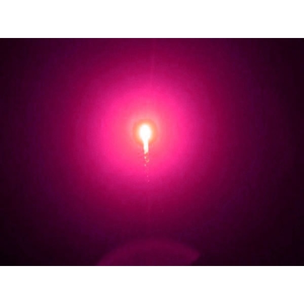 Le Maitre PP1693C Comet (Box of 10) 100 Feet, Pink Crackle