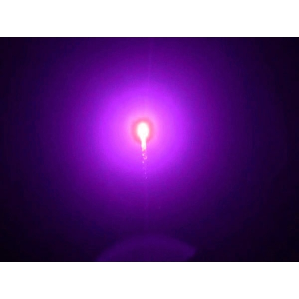 Le Maitre PP1712F Comet (Box of 10) 150 Feet, Purple Flitter