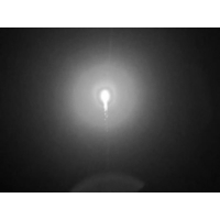 Le Maitre PP884 Comet (Box of 10) 60 Feet, White