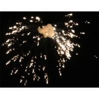 Le Maitre PP1264 Prostage II VS Medium Starburst (Box of 12) 15-18 Feet, Silver Fizz Le Maitre PP1264 Prostage II VS Medium Starburst (Box of 12) 15-18 Feet, Silver Fizz