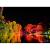 LEDJ Spectra QX40 Pixel MkII Exterior Fixture - view 12