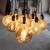 Prolite 6W Dimmable LED G125 Globe Crackle Filament Lamp 2100K ES - view 3