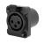 Seetronic K3F2C-W-B-67 IP67 3-Pin Female Chassis Connector - Black - view 2