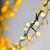 Lyyt 10m 12m Mini Berry Lights, Warm White - IP44 - view 5