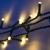 Lyyt 1000-LED String Light Reel, Warm White, 25m - IP44 - view 5