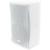 Lynx BS-10 10-Inch Passive Speaker, 600W @ 8 Ohms - White - view 1