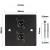 Eagle D-Series Brushed Aluminium 1-Gang Dual Male XLR Wall Plate - Black - view 4