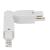 Artecta 3-Circuit Display Track Flexible Connector - White - view 3