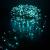 Lyyt Multi-Sequence 960 LED Cluster Lights with Timer, Cool White/Blue - 19 metre - view 3
