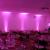 ADJ Mega TriPar Profile Plus RGB+UV LED PARCan, 5x 4W - view 2