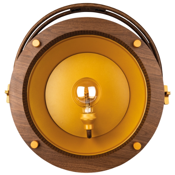 Showtec Edison Vintage 1 Retro DMX LED Light with Dimmer & Wood Grain Housing